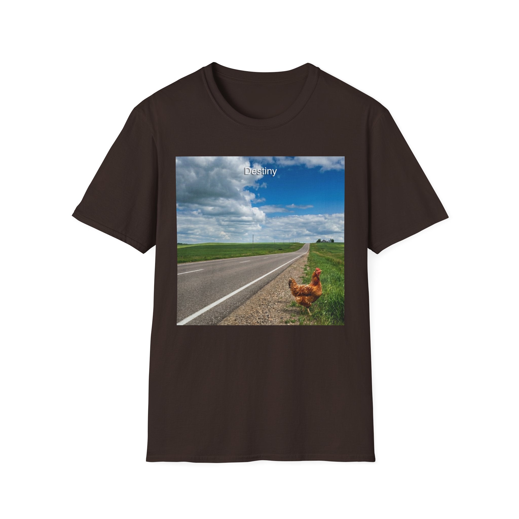 Destiny T-Shirt