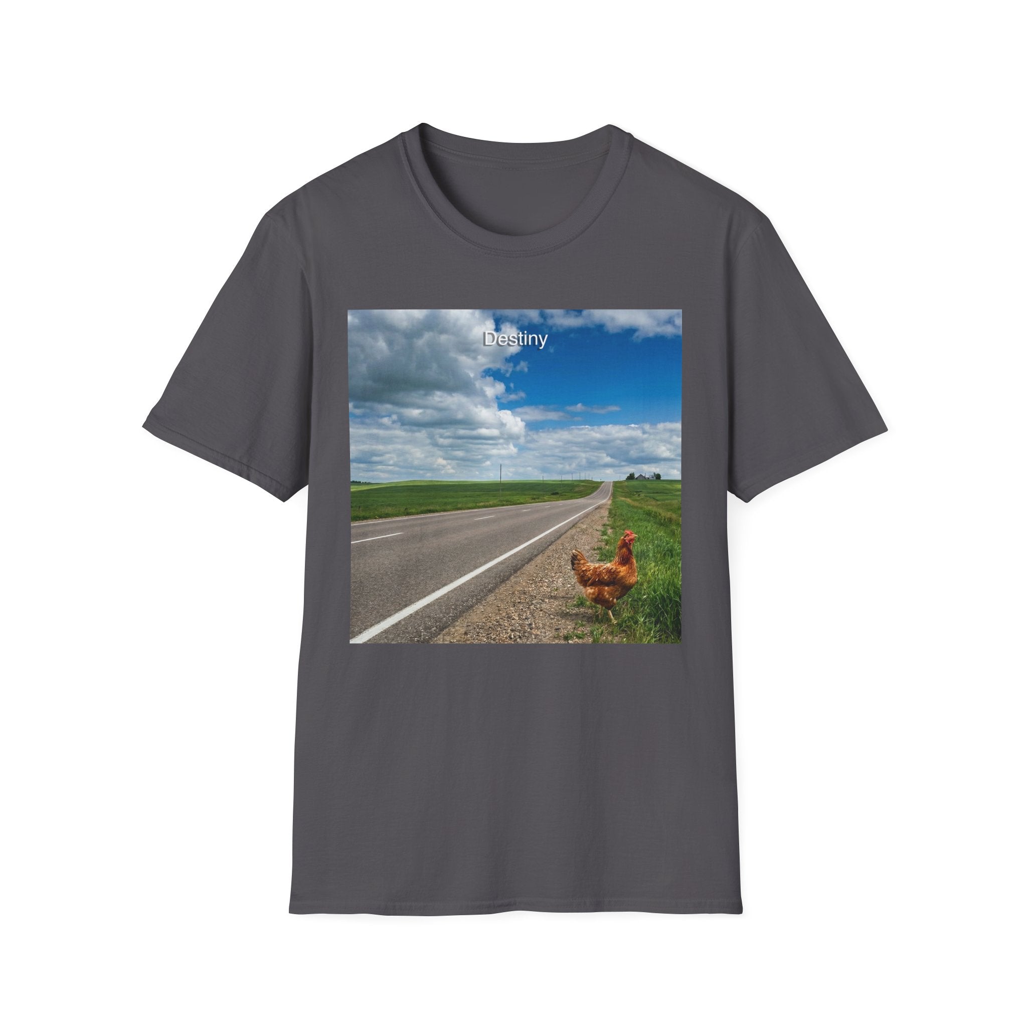 Destiny T-Shirt