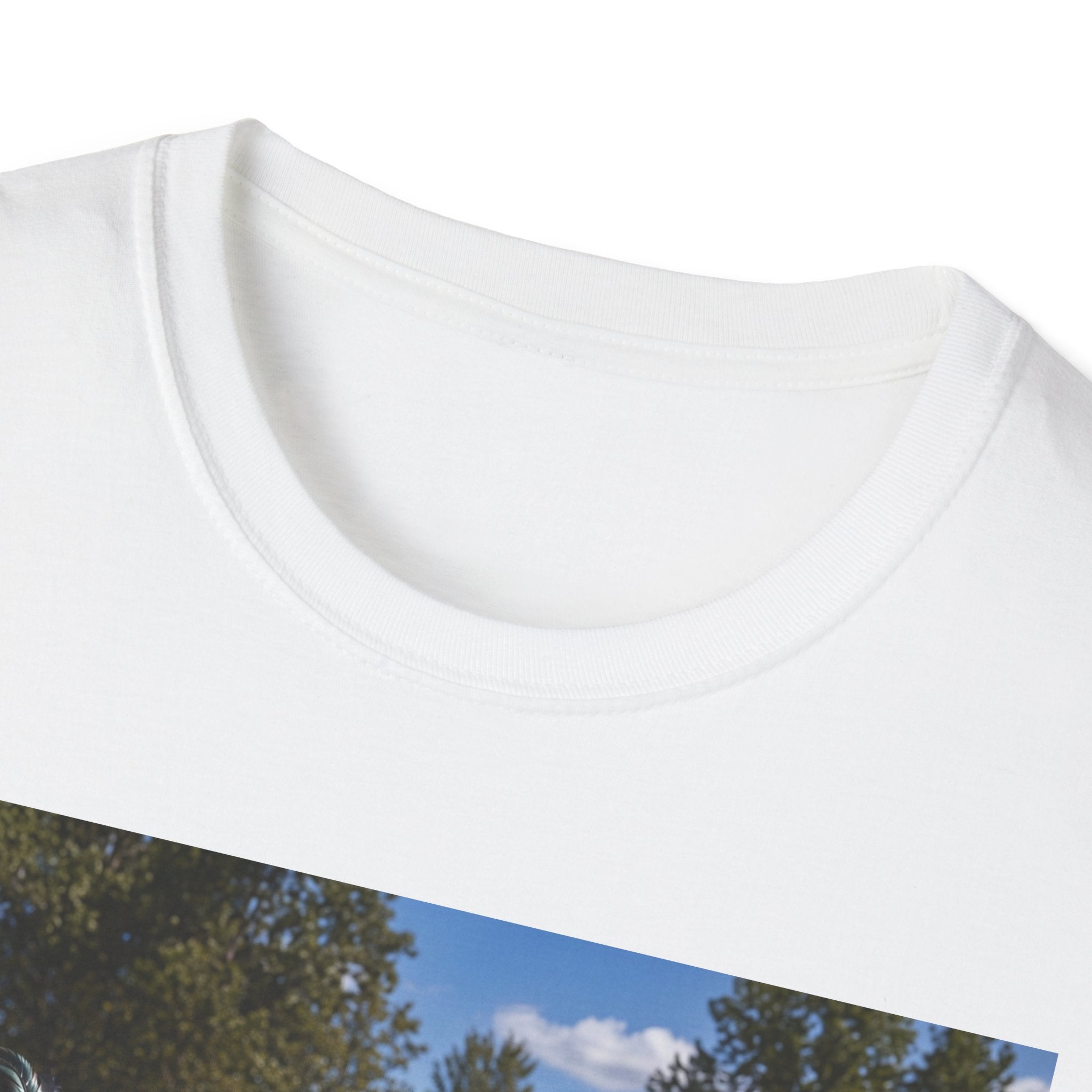 Chickens Shredding at the Skate Park T-Shirt