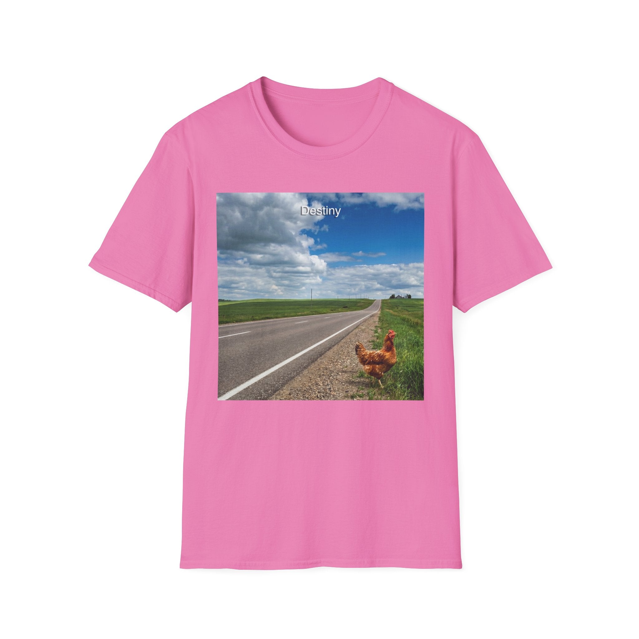 Destiny T-Shirt